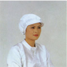 �����繤ñHL-005(��)