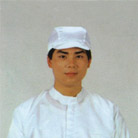 �����繤ñHL-009(��)