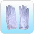 �������������(��)