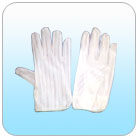 �������������(��)